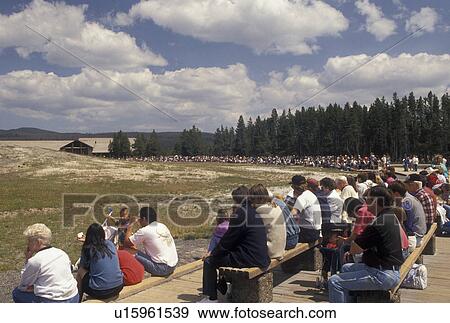 Yellowstone National Park, WY, Old Faithful, geyser, Wyoming, A crowd of people watching Old Faithful erupt in Yellowstone Nat'l Park in Wyoming. View Large Photo Image Stock Photo - Yellowstone National Park, WY, Old Faithful, geyser, Wyoming, A crowd of people watching Old Faithful erupt in Yellowstone Nat'l Park in Wyoming.. Fotosearch