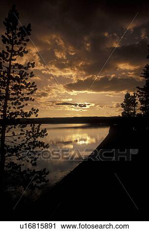 Yellowstone National Park, WY, Wyoming, Reflection of clouds and trees on the calm waters of Yellowstone Lake at sunset in Yellowstone Nat'l Park in Wyoming. View Large Photo Image Stock Image - Yellowstone National Park, WY, Wyoming, Reflection of clouds and trees on the calm waters of Yellowstone Lake at sunset in Yellowstone Nat'l Park in Wyoming.. Fotosearch