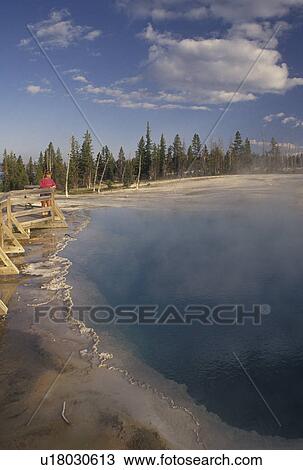 Yellowstone National Park, WY, Wyoming, Woman looking at Black Pool at West Thumb Geyser Basin in Yellowstone Nat'l Park in Wyoming. View Large Photo Image Stock Image - Yellowstone National Park, WY, Wyoming, Woman looking at Black Pool at West Thumb Geyser Basin in Yellowstone Nat'l Park in Wyoming.. Fotosearch