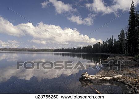 Stock Image -  Yellowstone National Park, WY, Wyoming, Clouds reflect in the calm waters of Lewis Lake in Yellowstone Nat'l Park in Wyoming.. Fotosearch