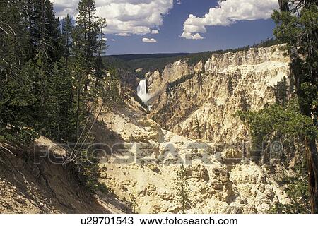 Yellowstone National Park, WY, Yellowstone River, Lower Falls, Canyon Village, Wyoming, Scenic view of Lower Falls cascading down the Yellowstone Canyonfrom Artist Point in Yellowstone Nat'l Park in Wyoming. The Grand Canyon of Yellowstone. View Large Photo Image Stock Image - Yellowstone National Park, WY, Yellowstone River, Lower Falls, Canyon Village, Wyoming, Scenic view of Lower Falls cascading down the Yellowstone Canyonfrom Artist Point in Yellowstone Nat'l Park in Wyoming. The Grand Canyon of Yellowstone.. Fotosearch