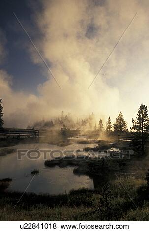 Stock Photo -  Yellowstone National Park, WY, Wyoming, Steam rising from the hot springs at West Thumb Geyser Basin at sunrise in Yellowstone Nat'l Park in Wyoming.. Fotosearch