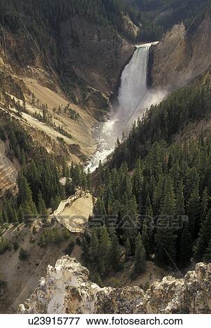 Yellowstone National Park, WY, Yellowstone River, Lower Falls, Canyon Village, Wyoming, Scenic view of Lower Falls cascading down the Yellowstone Canyon from Lookout Point in Yellowstone Nat'l Park in Wyoming. The Grand Canyon of Yellowstone. View Large Photo Image Stock Photo - Yellowstone National Park, WY, Yellowstone River, Lower Falls, Canyon Village, Wyoming, Scenic view of Lower Falls cascading down the Yellowstone Canyon from Lookout Point in Yellowstone Nat'l Park in Wyoming. The Grand Canyon of Yellowstone. . Fotosearch