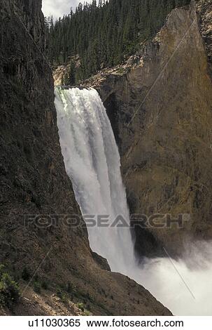 Yellowstone National Park, WY, Yellowstone River, Lower Falls, Canyon Village, Wyoming, Scenic view of Lower Falls cascading down the Yellowstone Canyon in Yellowstone Nat'l Park in Wyoming. The Grand Canyon of Yellowstone. View Large Photo Image Stock Photography - Yellowstone National Park, WY, Yellowstone River, Lower Falls, Canyon Village, Wyoming, Scenic view of Lower Falls cascading down the Yellowstone Canyon in Yellowstone Nat'l Park in Wyoming. The Grand Canyon of Yellowstone.. Fotosearch