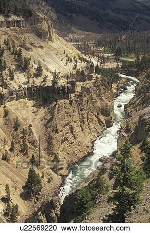 Yellowstone National Park, WY, Tower Junction, Yellowstone River, Wyoming, Scenic view of the Yellowstone River flowing through Yellowstone Canyon at Tower in Yellowstone Nat'l Park in Wyoming. The Grand Canyon of Yellowstone. View Large Photo Image Stock Image - Yellowstone National Park, WY, Tower Junction, Yellowstone River, Wyoming, Scenic view of the Yellowstone River flowing through Yellowstone Canyon at Tower in Yellowstone Nat'l Park in Wyoming. The Grand Canyon of Yellowstone. . Fotosearch