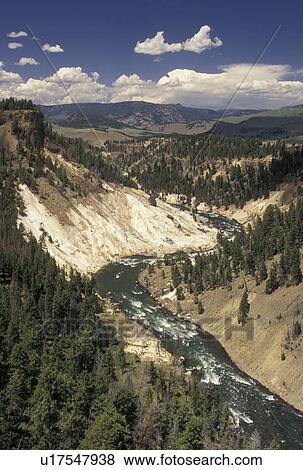 Yellowstone National Park, WY, Tower Junction, Yellowstone River, Wyoming, Scenic view of the Yellowstone River flowing through Yellowstone Canyon at Tower in Yellowstone Nat'l Park in Wyoming. The Grand Canyon of Yellowstone. View Large Photo Image Stock Photo - Yellowstone National Park, WY, Tower Junction, Yellowstone River, Wyoming, Scenic view of the Yellowstone River flowing through Yellowstone Canyon at Tower in Yellowstone Nat'l Park in Wyoming. The Grand Canyon of Yellowstone. . Fotosearch