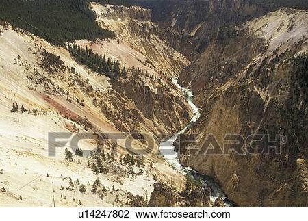 Yellowstone River, Yellowstone National Park, WY, Wyoming, Canyon Village, Scenic view of the Yellowstone River flowing through Yellowstone Canyon in Yellowstone Nat'l Park in Wyoming. The Grand Canyon of Yellowstone. View Large Photo Image Stock Image - Yellowstone River, Yellowstone National Park, WY, Wyoming, Canyon Village, Scenic view of the Yellowstone River flowing through Yellowstone Canyon in Yellowstone Nat'l Park in Wyoming. The Grand Canyon of Yellowstone. . Fotosearch