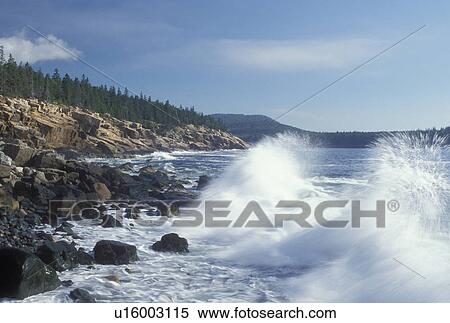Stock Photography -  Acadia National Park, ME, Maine, Mount Desert Island, Waves splash against the rocky coastline in Acadia Nat'l Park on the Atlantic Ocean. . Fotosearch