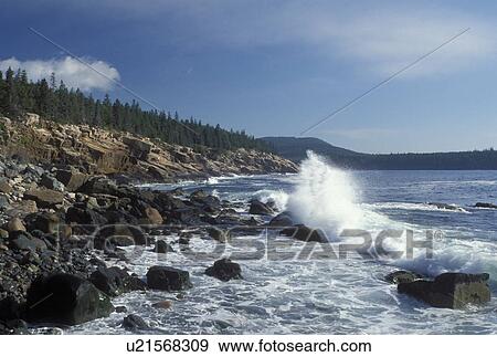 Acadia National Park, ME, Mount Desert Island, Maine, Waves splash against the rocky coastline in Acadia Nat'l Park on the Atlantic Ocean. View Large Photo Image Stock Photo - Acadia National Park, ME, Mount Desert Island, Maine, Waves splash against the rocky coastline in Acadia Nat'l Park on the Atlantic Ocean. . Fotosearch