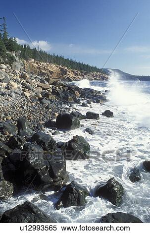 Stock Photography -  Acadia National Park, ME, Mount Desert Island, Maine, Waves splash against the rocky coastline in Acadia Nat'l Park on the Atlantic Ocean. . Fotosearch
