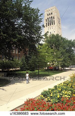 Ann Arbor, MI, Michigan, Burton Memorial Tower houses the Baird Carillon on the Central Campus of the University of Michigan in Ann Arbor. View Large Photo Image Stock Image - Ann Arbor, MI, Michigan, Burton Memorial Tower houses the Baird Carillon on the Central Campus of the University of Michigan in Ann Arbor.. Fotosearch
