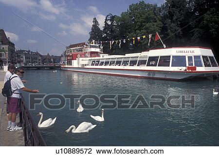 Annecy, France, Haute-Savoie, Rhone-Alpes, Europe, People feeding swans along Thiou canal across from a tour boat on scenic Lake Annecy (Lac d' Annecy) in Annecy. View Large Photo Image Stock Image - Annecy, France, Haute-Savoie, Rhone-Alpes, Europe, People feeding swans along Thiou canal across from a tour boat on scenic Lake Annecy (Lac d' Annecy) in Annecy. . Fotosearch