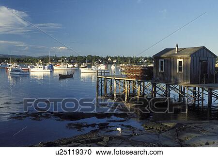 Stock Image -  Bass Harbor, ME, Maine, Mount Desert Island, View of lobster fishing boats buoyed in the harbor in the fishing village of Bass Harbor on the Atlantic Ocean.. Fotosearch