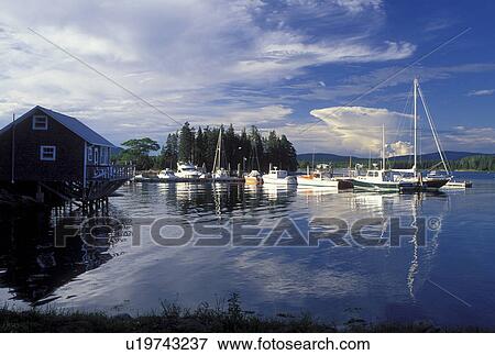 Bass Harbor, ME, Maine, Mount Desert Island, Boats in the harbor in the fishing village of Bass Harbor on the Atlantic Ocean. View Large Photo Image Stock Photo - Bass Harbor, ME, Maine, Mount Desert Island, Boats in the harbor in the fishing village of Bass Harbor on the Atlantic Ocean.. Fotosearch