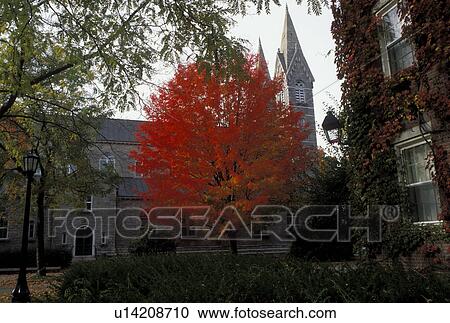 Brunswick, ME, Maine, Chapel on the campus of Bowdoin College in the fall in the town of Brunswick. View Large Photo Image Stock Image - Brunswick, ME, Maine, Chapel on the campus of Bowdoin College in the fall in the town of Brunswick.. Fotosearch