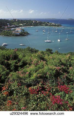 Stock Photograph -  Caribbean, St. John, U. S. Virgin Islands, USVI, Scenic view of Cruz Bay on Saint John Island.. Fotosearch