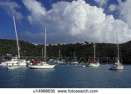 Stock Photography -  Caribbean, St. John, U. S. Virgin Islands, USVI, Sailboats buoyed on Cruz Bay on Saint John Island.. Fotosearch