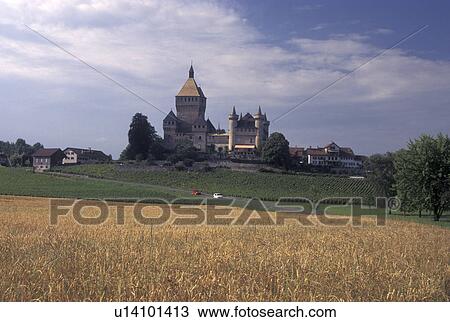 castle, Switzerland, La Cote, Vaud, Vufflens-le-Chateau surrounded by vineyards and wheat fields. View Large Photo Image Stock Image - castle, Switzerland, La Cote, Vaud, Vufflens-le-Chateau surrounded by vineyards and wheat fields.. Fotosearch