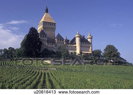castle, Switzerland, La Cote, Vaud, Vufflens-le-Chateau surrounded by vineyards. View Large Photo Image Stock Image - castle, Switzerland, La Cote, Vaud, Vufflens-le-Chateau surrounded by vineyards.. Fotosearch