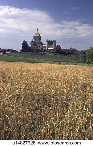 Stock Photograph -  castle, Switzerland, La Cote, Vaud, Vufflens-le-Chateau surrounded by vineyards and wheat fields.. Fotosearch