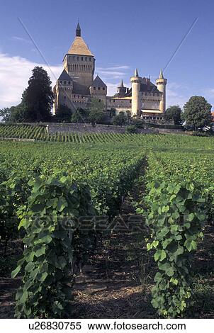 castle, Switzerland, La Cote, Vaud, Vufflens-le-Chateau surrounded by vineyards. View Large Photo Image Stock Photography - castle, Switzerland, La Cote, Vaud, Vufflens-le-Chateau surrounded by vineyards.. Fotosearch