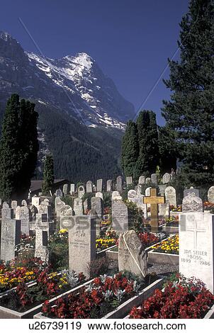cemetery, Eiger, Switzerland, Grindenwald, Berne, Bern, Bernese Alps, mountain, Bernese Oberland. View Large Photo Image Stock Photo - cemetery, Eiger, Switzerland, Grindenwald, Berne, Bern, Bernese Alps, mountain, Bernese Oberland.. Fotosearch