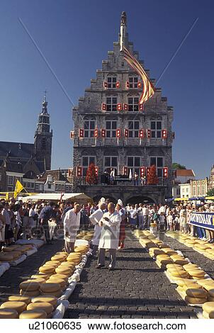 cheese market, Gouda, Netherlands, Holland, Zuid-Holland, Europe, Men testing cheese at the Cheese Market outside Town Hall on Cheese Market Day in downtown Gouda. View Large Photo Image Stock Photography - cheese market, Gouda, Netherlands, Holland, Zuid-Holland, Europe, Men testing cheese at the Cheese Market outside Town Hall on Cheese Market Day in downtown Gouda.. Fotosearch