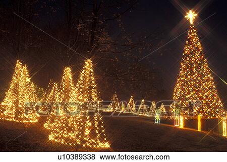 Stock Photo -  Christmas decoration, Marietta, GA, Georgia, Atlanta, Lights of Life Christmas light display of Christmas trees and presents at Life College in Marietta. Fotosearch