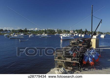 Corea, ME, Maine, Lobster traps and buoys on a dock. Lobster fishing boats buoyed in the harbor in the fishing village of Corea on the Atlantic Ocean. View Large Photo Image Picture - Corea, ME, Maine, Lobster traps and buoys on a dock. Lobster fishing boats buoyed in the harbor in the fishing village of Corea on the Atlantic Ocean.. Fotosearch