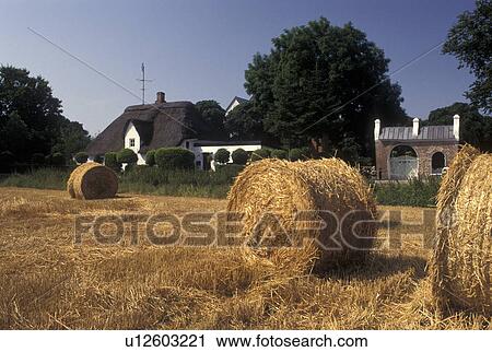 Denmark, Jylland, Scandinavia, Europe, Hay bales in a field on a farm View Large Photo Image Stock Image - Denmark, Jylland, Scandinavia, Europe, Hay bales in a field on a farm . Fotosearch