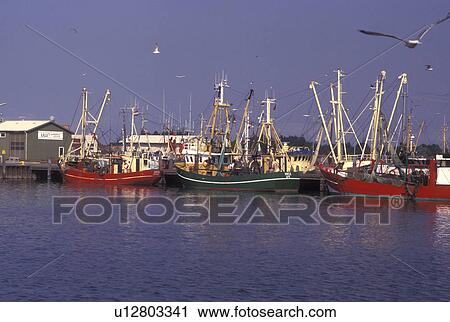 Denmark, Romo, Jylland, Scandinavia, Europe, Fishing boats docked in Havneby Harbor on the North Sea on Romo Island. View Large Photo Image Stock Image - Denmark, Romo, Jylland, Scandinavia, Europe, Fishing boats docked in Havneby Harbor on the North Sea on Romo Island.. Fotosearch
