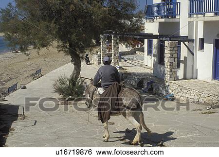 donkey, Paros, Greek Islands, Cyclades, Greece, Europe, Man riding on a donkey in the town of Piso Livadi on Paros Island. View Large Photo Image Stock Photograph - donkey, Paros, Greek Islands, Cyclades, Greece, Europe, Man riding on a donkey in the town of Piso Livadi on Paros Island.. Fotosearch