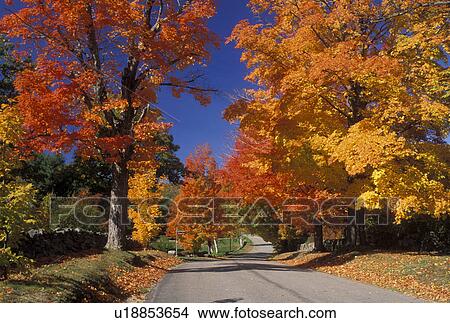 East Andover, New Hampshire, NH, Colorful fall foliage along Maple Street in East Andover in the fall. View Large Photo Image Picture - East Andover, New Hampshire, NH, Colorful fall foliage along Maple Street in East Andover in the fall.. Fotosearch