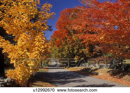 Stock Image -  East Andover, New Hampshire, NH, Colorful fall foliage along Maple Street in East Andover in the fall.. Fotosearch