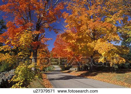 East Andover, NH, New Hampshire, Colorful fall foliage along Maple Street in East Andover in the fall. View Large Photo Image Stock Image - East Andover, NH, New Hampshire, Colorful fall foliage along Maple Street in East Andover in the fall.. Fotosearch