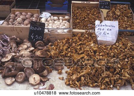 farmers market, Switzerland, La Cote, Vaud, Mushrooms for sale at the outdoor market in the town of Morges. View Large Photo Image Stock Photo - farmers market, Switzerland, La Cote, Vaud, Mushrooms for sale at the outdoor market in the town of Morges.. Fotosearch