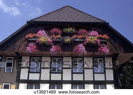 Stock Photo -  flowers, chalet, Switzerland, Lauterbrunnen, Bern, Bernese Alps, Bernese Oberland, Europe, Colorful flowers in window boxes decorate a chalet in the village of Lauterbrunnen in the Bernese Alps.. Fotosearch