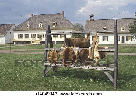 fort, Thunder Bay, Canada, Ontario, Fur display at the Main Square at Old Fort William, Fur Trading Post, in Thunder Bay. View Large Photo Image Stock Image - fort, Thunder Bay, Canada, Ontario, Fur display at the Main Square at Old Fort William, Fur Trading Post, in Thunder Bay.. Fotosearch
