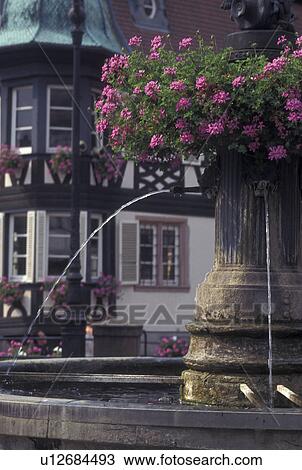 France, Alsace, Barr, Bas-Rhin, Europe, wine region, Close-up of a fountain decorated with pink geraniums in the picturesque village of Barr in the wine region of Alsace. View Large Photo Image Stock Image - France, Alsace, Barr, Bas-Rhin, Europe, wine region, Close-up of a fountain decorated with pink geraniums in the picturesque village of Barr in the wine region of Alsace.. Fotosearch