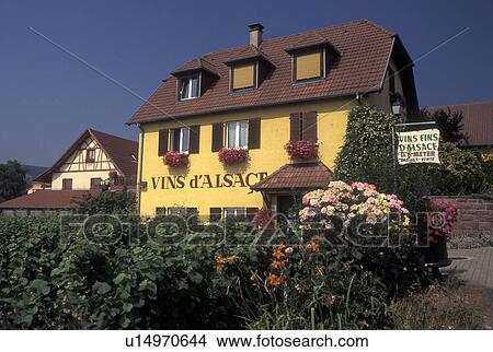 France, Alsace, Haut-Rhin, Europe, wine region, Wine House, in the wine region of Alsace. View Large Photo Image Picture - France, Alsace, Haut-Rhin, Europe, wine region, Wine House, in the wine region of Alsace.. Fotosearch