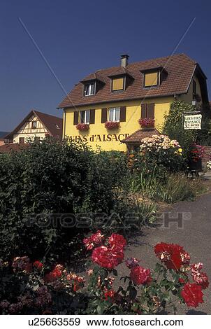 France, Alsace, Haut-Rhin, Europe, wine region, Wine House, in the wine region of Alsace. View Large Photo Image Stock Photo - France, Alsace, Haut-Rhin, Europe, wine region, Wine House, in the wine region of Alsace.. Fotosearch