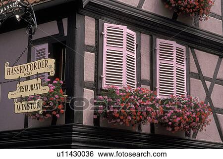 France, Alsace, Kaysersberg, Haut-Rhin, Europe, wine region, Windows adorned with colorful flowers in window boxes in the village of Kaysersberg in the wine region of Alsace. View Large Photo Image Stock Photograph - France, Alsace, Kaysersberg, Haut-Rhin, Europe, wine region, Windows adorned with colorful flowers in window boxes in the village of Kaysersberg in the wine region of Alsace.. Fotosearch
