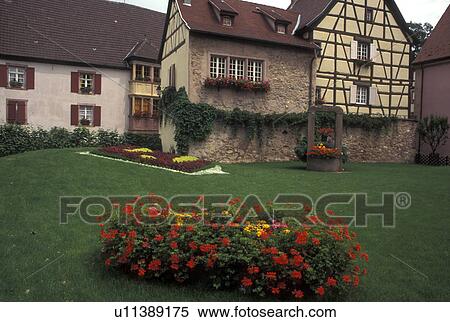 France, Alsace, Turckheim, Haut-Rhin, Europe, wine region, Flowers adorn the outside of a half-timbered home in the picturesque village of Turckheim in the wine region of Alsace. View Large Photo Image Stock Photography - France, Alsace, Turckheim, Haut-Rhin, Europe, wine region, Flowers adorn the outside of a half-timbered home in the picturesque village of Turckheim in the wine region of Alsace.. Fotosearch