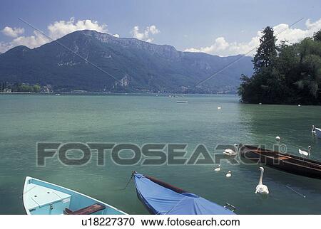 France, Annecy, Haute-Savoie, Rhone-Alpes, Europe, A family of swans swim around boats docked on the waterfront of scenic Lake Annecy (Lac d' Annecy) surrounded by mountains in Annecy. View Large Photo Image Stock Image - France, Annecy, Haute-Savoie, Rhone-Alpes, Europe, A family of swans swim around boats docked on the waterfront of scenic Lake Annecy (Lac d' Annecy) surrounded by mountains in Annecy. . Fotosearch