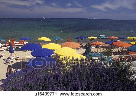 France, beach, Golfe-Juan, Cote d' Azur, Provence, Alpes-Maritimes, Europe, Colorful beach umbrellas along the shore in Golfe-Juan on the Mediterranean Sea. View Large Photo Image Stock Image - France, beach, Golfe-Juan, Cote d' Azur, Provence, Alpes-Maritimes, Europe, Colorful beach umbrellas along the shore in Golfe-Juan on the Mediterranean Sea.. Fotosearch