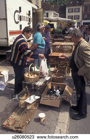 Stock Image -  France, outdoor market, Burgundy, Toucy, Yonne, Bourgogne, Europe, Rabbits, chickens and ducks for sale on Market Day in downtown Toucy in the region of Burgundy.. Fotosearch