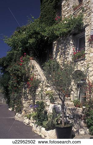 France, St. Paul de Vence, Cote d' Azur, Provence, Alpes-Maritimes, Europe, Flowers and ivy decorate the stone stairs of a stone building in the village of Saint Paul de Vence. View Large Photo Image Stock Image - France, St. Paul de Vence, Cote d' Azur, Provence, Alpes-Maritimes, Europe, Flowers and ivy decorate the stone stairs of a stone building in the village of Saint Paul de Vence.. Fotosearch