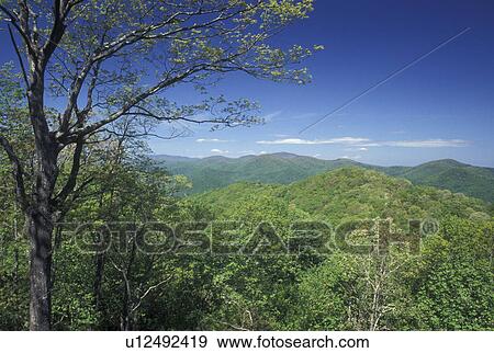 GA, Georgia, View of Chattahoochee National Forest from Rock Mountain State Park in North Georgia View Large Photo Image Stock Photo - GA, Georgia, View of Chattahoochee National Forest from Rock Mountain State Park in North Georgia . Fotosearch