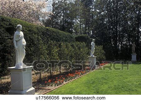 garden, New Bern, NC, North Carolina, Gardens of Tyron Palace at Tyron Palace Historic Sites and Gardens in New Bern. View Large Photo Image Stock Photograph - garden, New Bern, NC, North Carolina, Gardens of Tyron Palace at Tyron Palace Historic Sites and Gardens in New Bern.. Fotosearch
