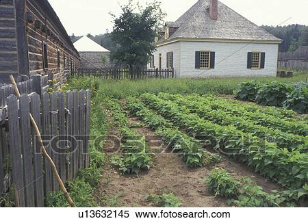 garden, Thunder Bay, Canada, Ontario, Vegetable Garden at Old Fort William, Fur Trading Post, in Thunder Bay. View Large Photo Image Stock Photography - garden, Thunder Bay, Canada, Ontario, Vegetable Garden at Old Fort William, Fur Trading Post, in Thunder Bay.. Fotosearch